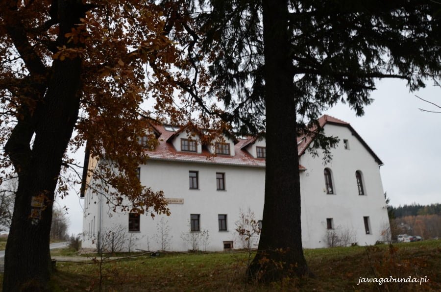 duży biały dom ukryty za drzewammi
