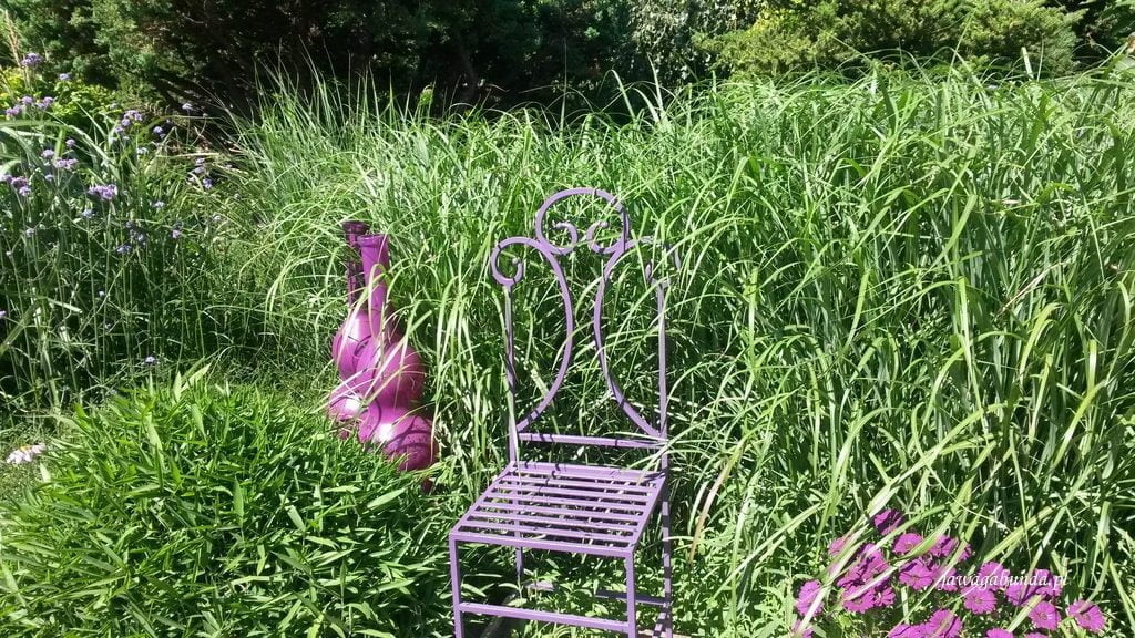 trawy i fioletowe krzesło
