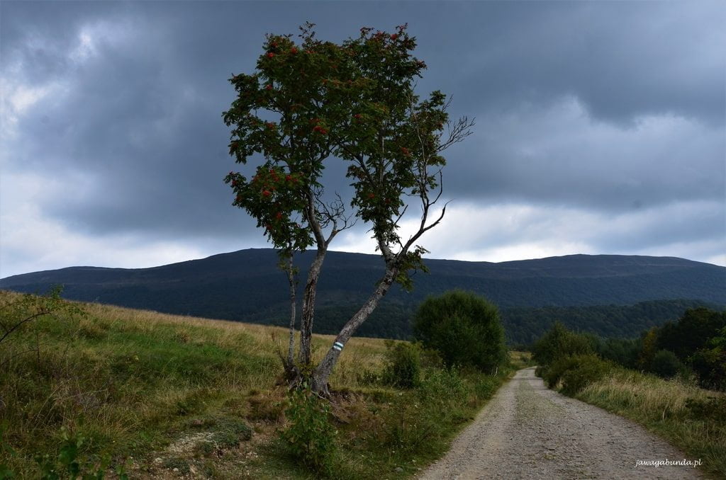 Bieszczady