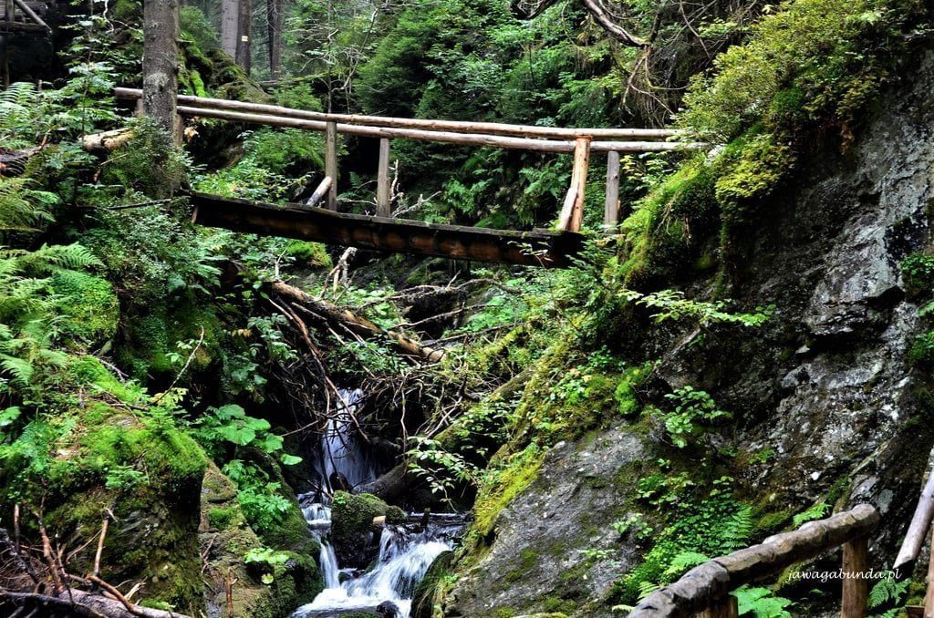 drewniany most nad górskim potokiem