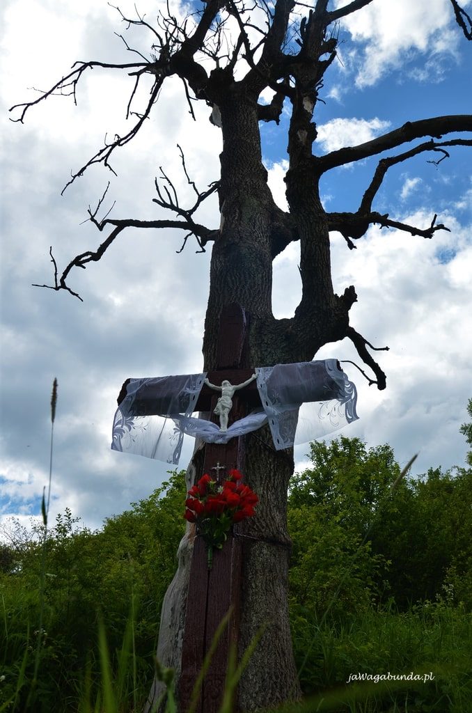krzyż wrośnięty w drzewo