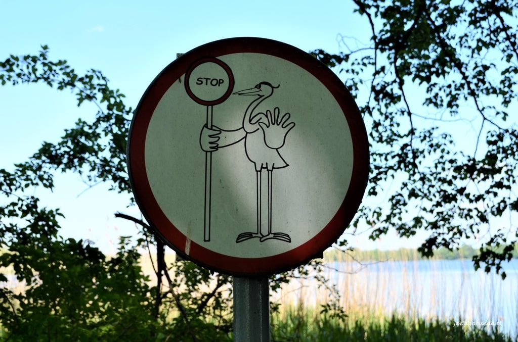 znak stopu z ptakiem