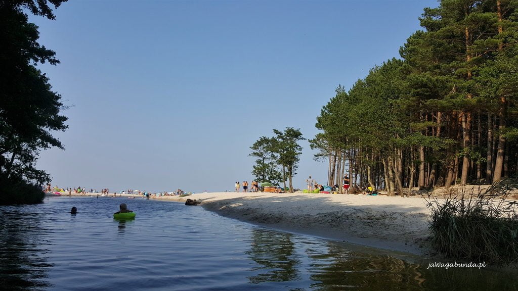 Rzeka piaśnica