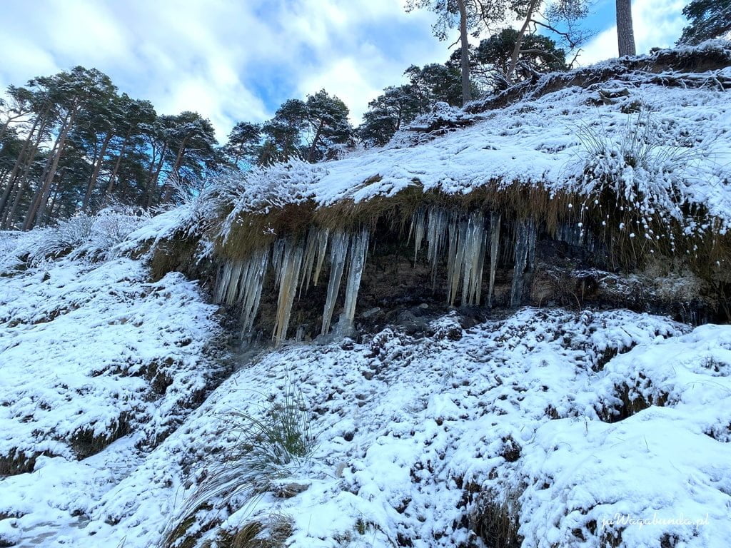 sople lodu na wydmach