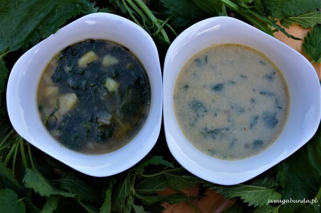 Zupa z pokrzywy podana w dwóch miseczkach. Pokrzywa o ziemnym zielonym kolorze.