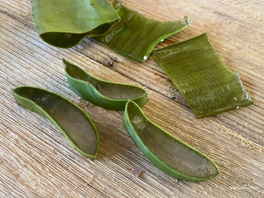aloe vera forever Forever living - Aloe Vera Gelly main image 1