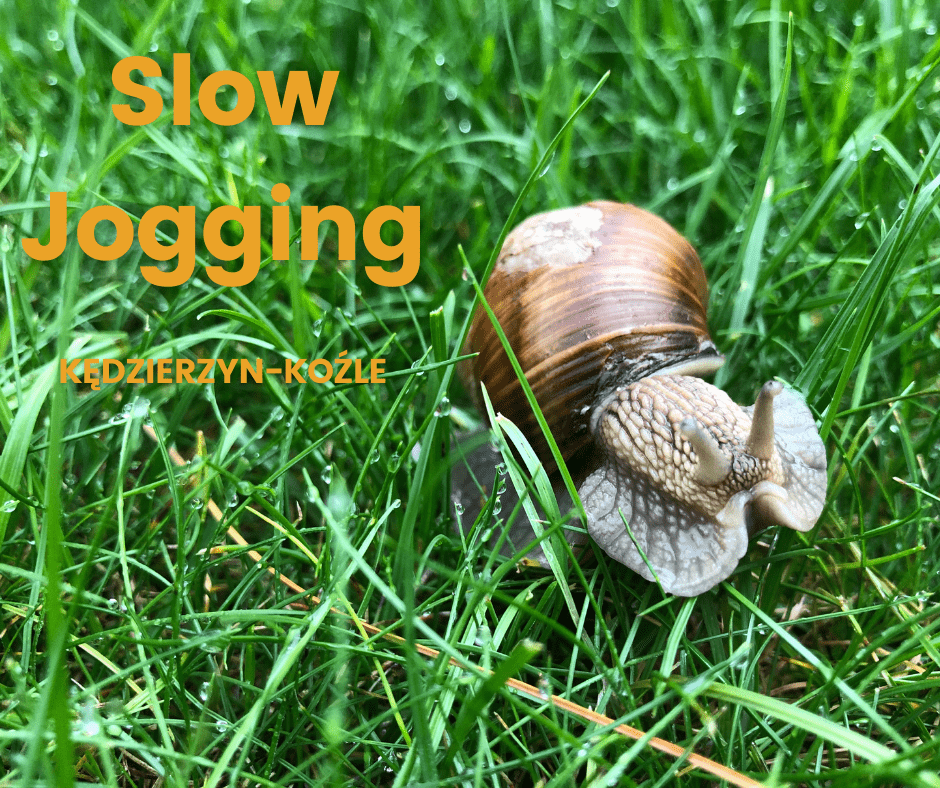 ślimak w trawie symbol wolnego truchtania