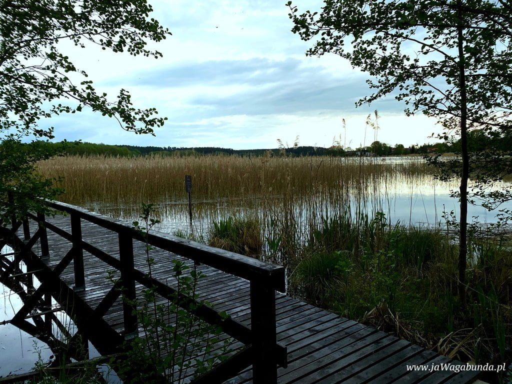 pomost na jeziorze i sitowie na jego brzegach