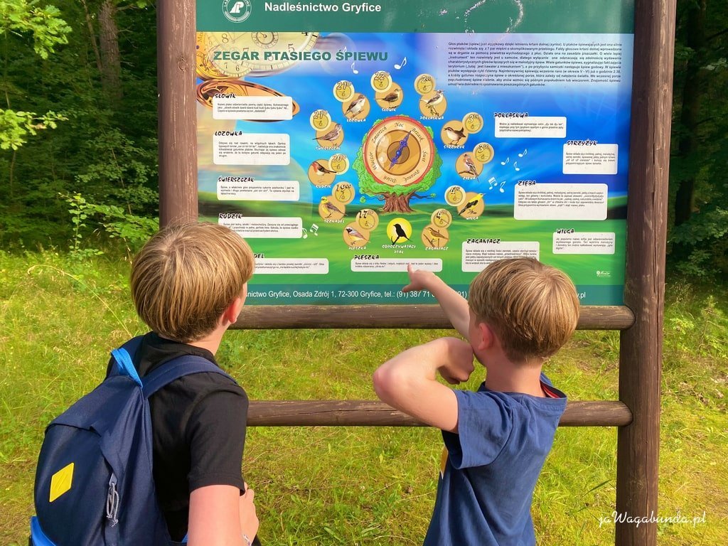 dzieci czytają informacje na tablicy