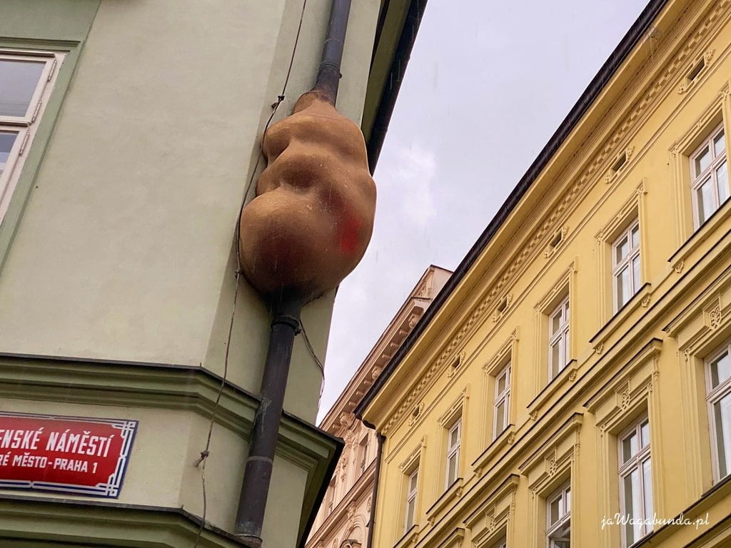 rzeźba embriona przymocowana do rynny