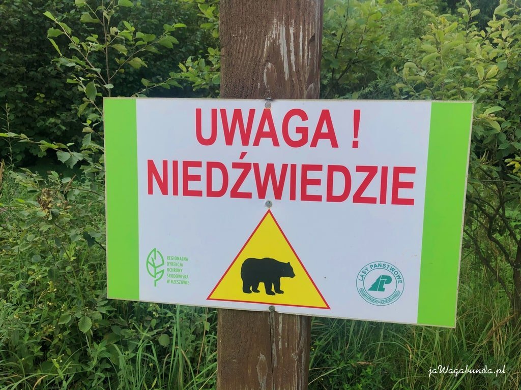 tablica uwaga niedźwiedzie