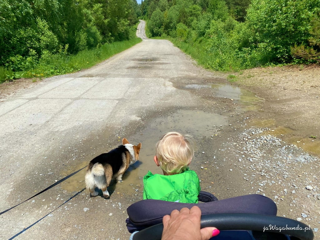 dziecko w wózku i pies biegnący po drodze
