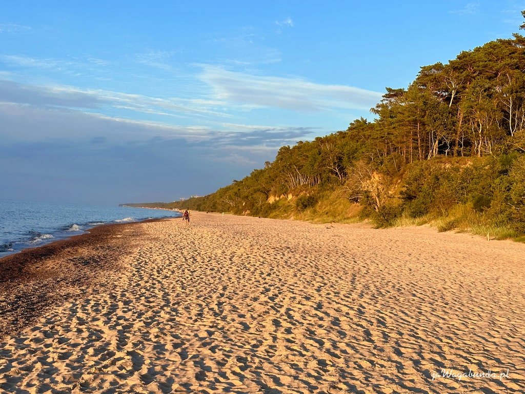 plaża nad Bałtykiem i wydmy