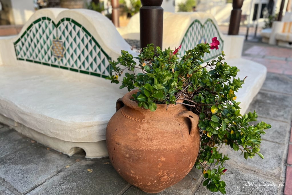 gliniany wazon a w nim kwiaty