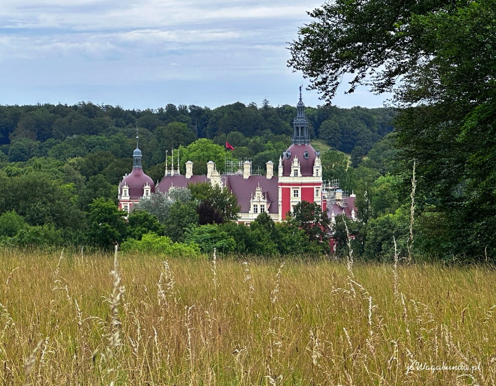 widok z góry na zamek