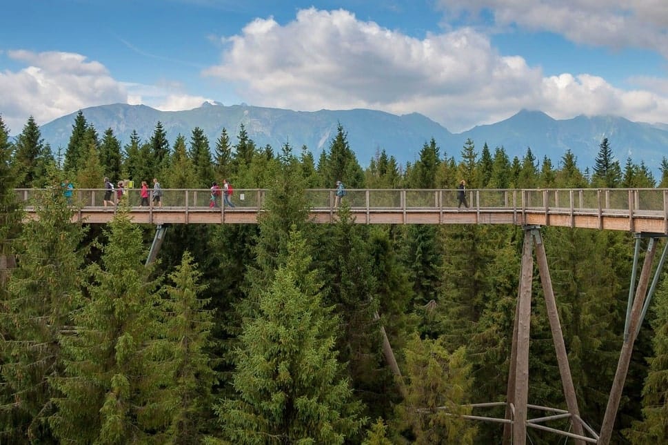 ścieżka drewniana ponad koronami drzew, ponad nią widok na Tatry