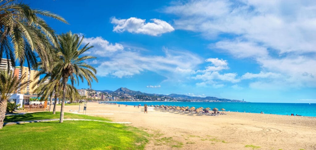 plaża z piaskiem morze i palma