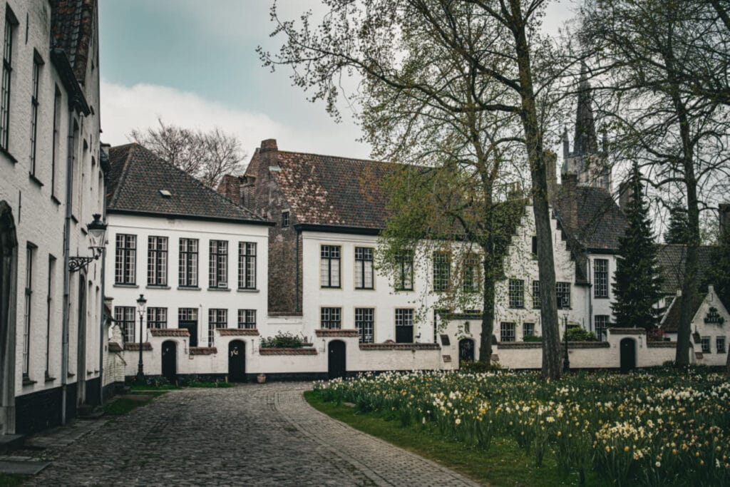 białe budynki, zabudowania